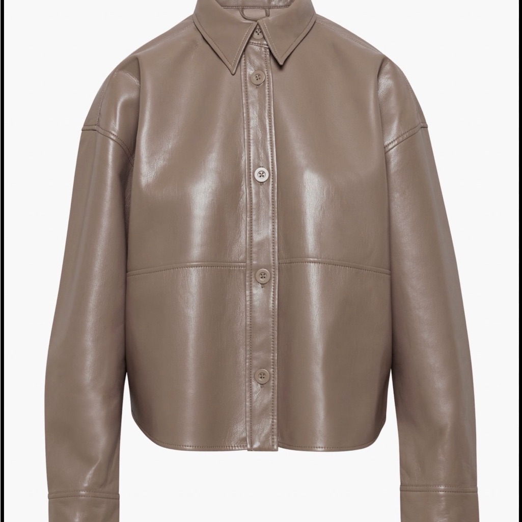 Babaton Pelli Hip Shirt Jacket From Aritzia